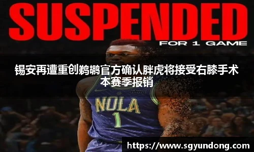 芒果体育官网入口