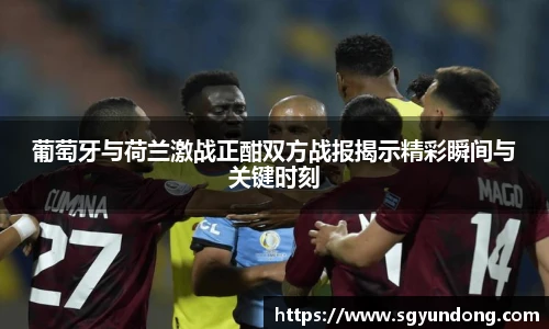 芒果体育官网入口